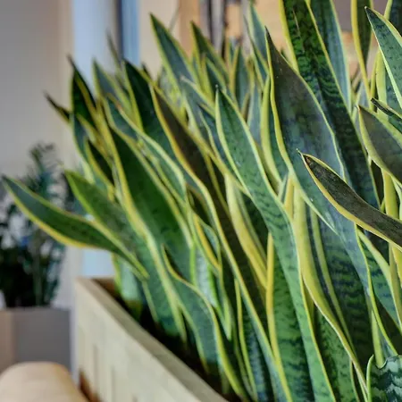 Eco Complex Near Varna *