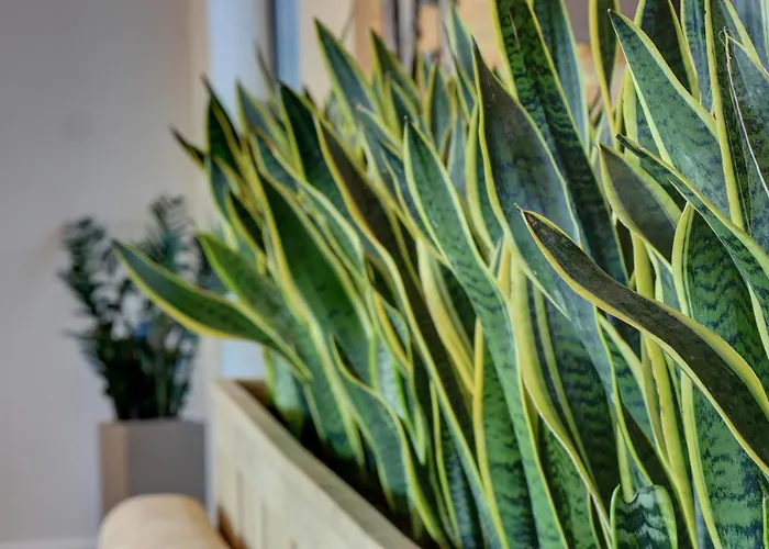 Eco Complex Near Varna *